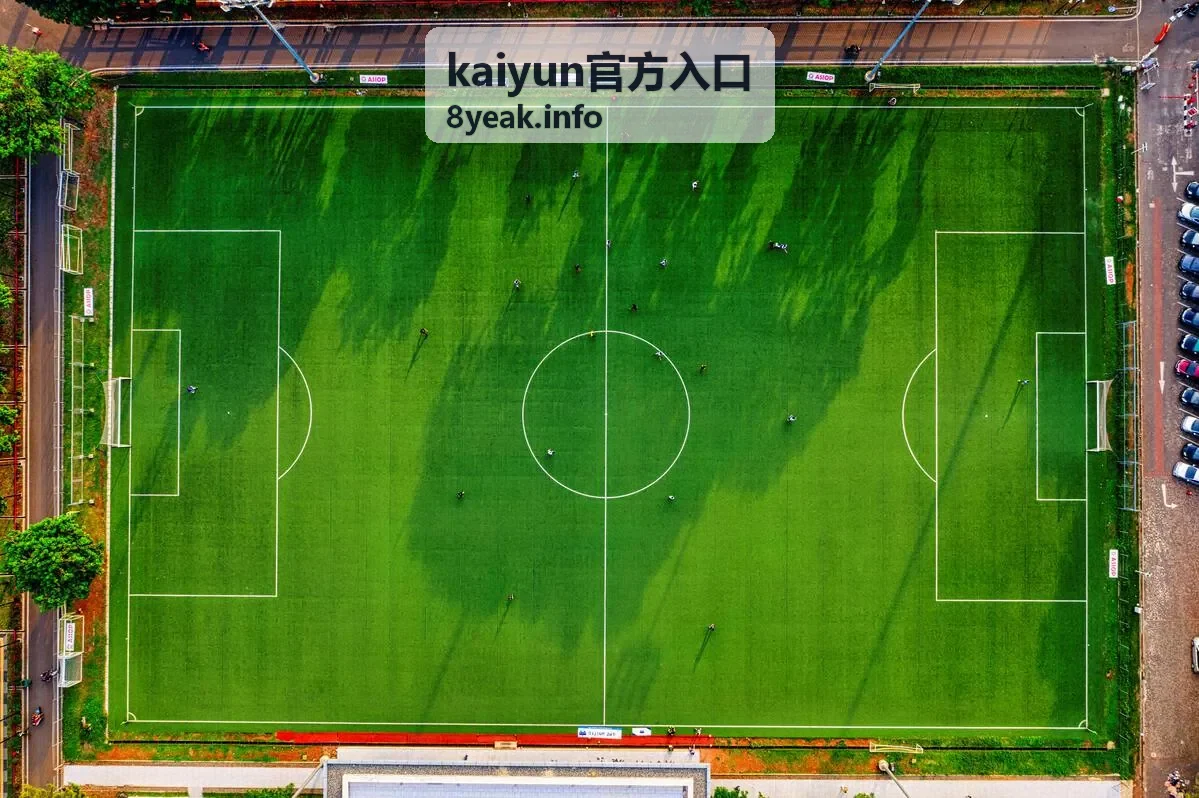 kaiyun官方入口通道核对步骤示意